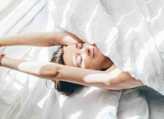 Office: next door walks on the keyboard