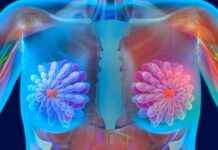 Primary to the right : Frédéric Lefebvre wants to be a candidate, an affront in addition to Nicolas Sarkozy