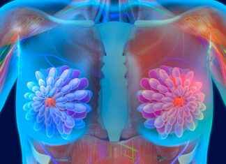 Primary to the right : Frédéric Lefebvre wants to be a candidate, an affront in addition to Nicolas Sarkozy