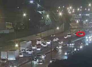 Crashes delay traffic on Auckland’s Southwestern Motorway crashes-delay-traffic-on-aucklands-southwestern-motorway