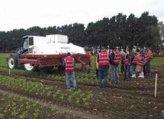 Hort Connections 2024: Seeing some of the latest automations and technology firsthand on farm tours hort-connections-2024-seeing-some-of-the-latest-automations-and-technology-firsthand-on-farm-tours