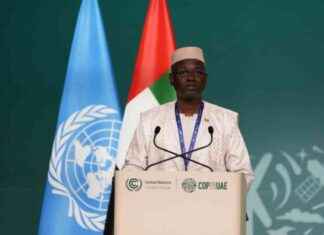 Mali Prime Minister Supports Critical Document on Junta news-21062024-211857
