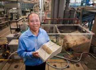 Innovative Coastal Protection Project Using Soya Bean Powder Seeks Funding news-22062024-021843