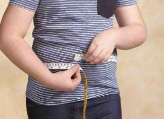 Record one in five children around the world are too fat, report finds record-one-in-five-children-around-the-world-are-too-fat-report-finds