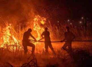 Wildfires in West Türkiye Prompt Neighborhood Evacuation news-01072024-071858