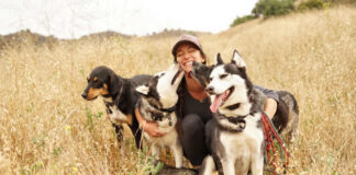 How Caring for Your Dog Enhances Everyday Life How Caring for Your Dog Enhances Everyday Life
