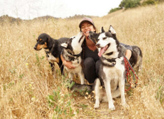 How Caring for Your Dog Enhances Everyday Life How Caring for Your Dog Enhances Everyday Life