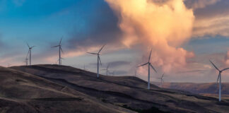 The SME innovation squeeze: what smaller firms need from R&D tax relief in 2025 The SME innovation squeeze: what smaller firms need from R&D tax relief in 2025