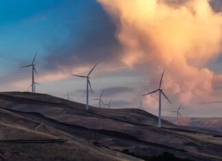 The SME innovation squeeze: what smaller firms need from R&D tax relief in 2025 The SME innovation squeeze: what smaller firms need from R&D tax relief in 2025